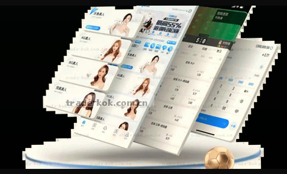 数据为基，洞察先行，驱动决策。